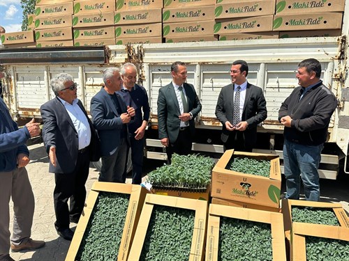 Sayın Kaymakamımız Muhammed Safa KÖMÜRCÜ'nün Fide Dağıtımına Katılımı